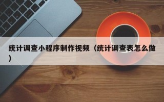 定安统计调查小程序制作视频（统计调查表怎么做）