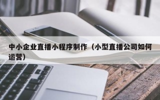 定安中小企业直播小程序制作（小型直播公司如何运营）
